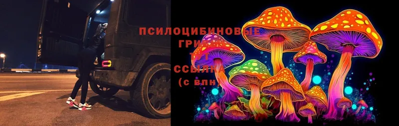 Псилоцибиновые грибы Magic Shrooms  купить наркотики сайты  Советская Гавань 